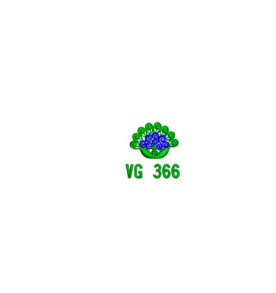 VG 366